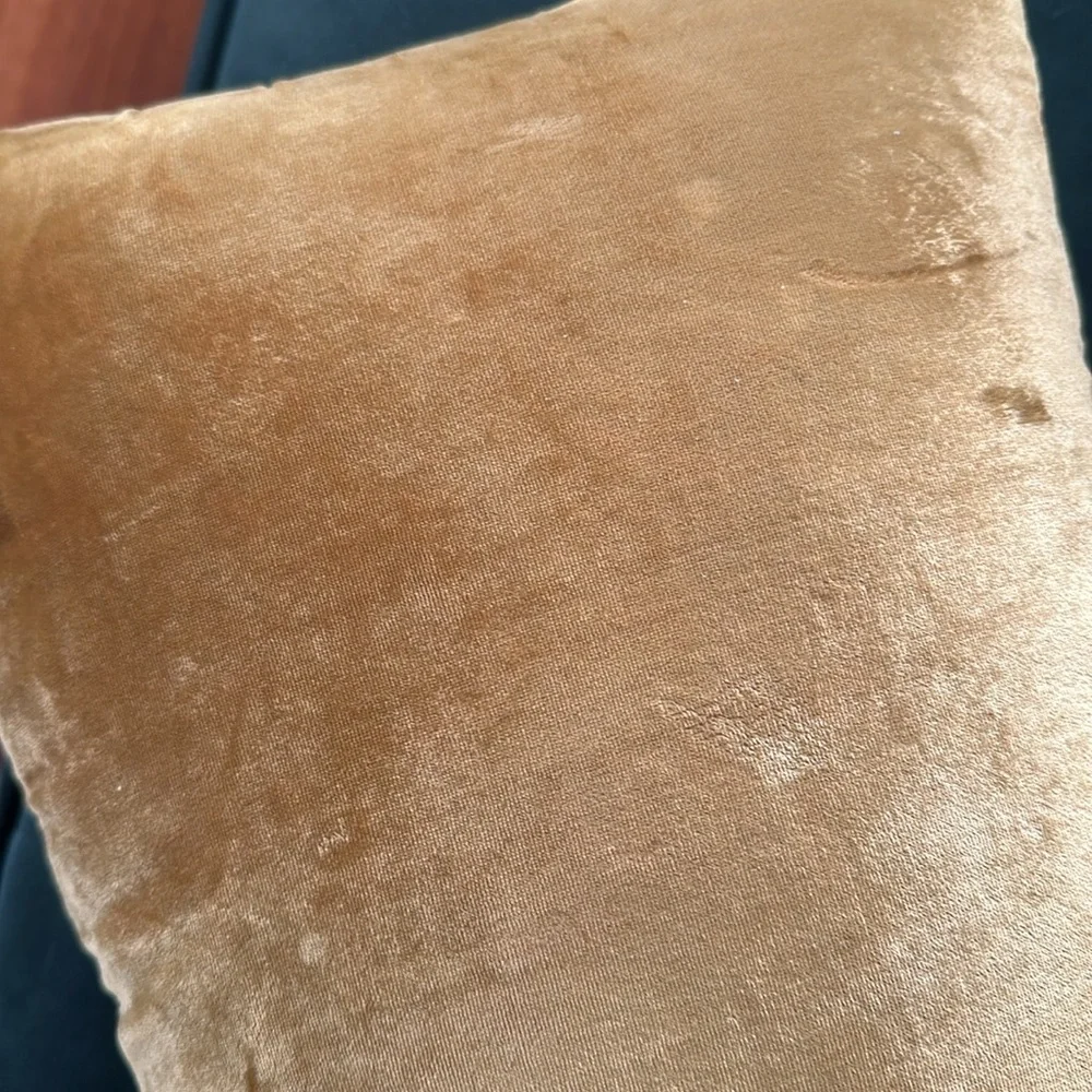 west elm Lush Velvet Lumbar Pillow Covers lot of two